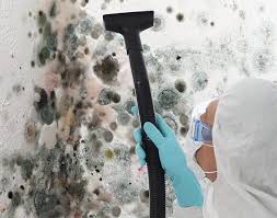 Best Industrial Mold Remediation  in Osage Beach, MO